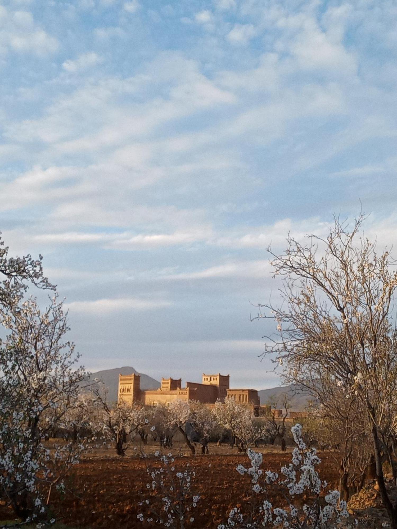 Chez L'Habitant Amazigh Warzazat Zewnętrze zdjęcie